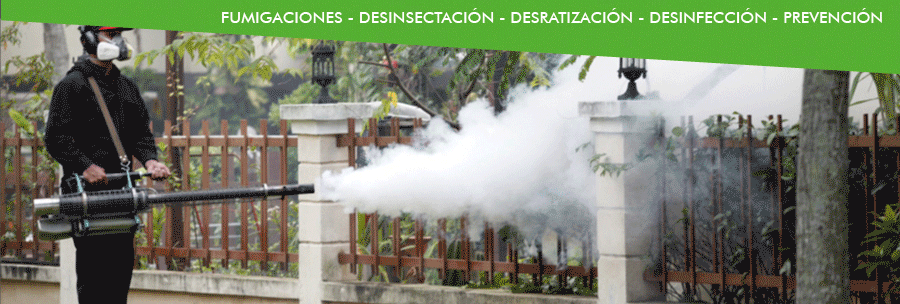 banner_desinfecciones_rio3
